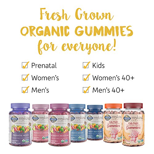 Garden of Life mykind Organics Kids Gummy Vitamins - Fruit - Certified Organic, Non-GMO and Vegan Complete Children's Multi - B12, C and D3 - Gluten, Soy and Dairy Free, 120 Real Fruit Chew Gummies