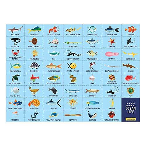 Ocean Life Search and Find Puzzle