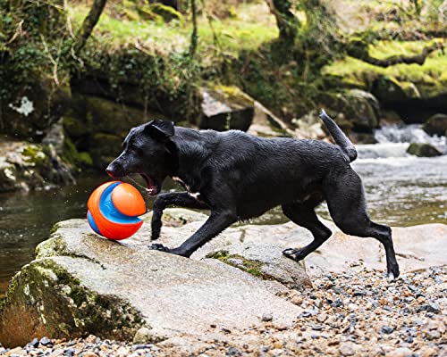 Chuckit Kick Fetch Ball Dog Toy, Large (8 Inch)