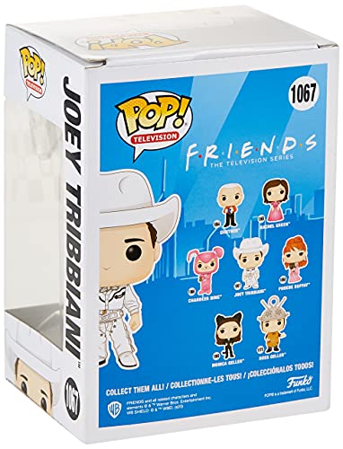 POP TV: Friends- Cowboy Joey