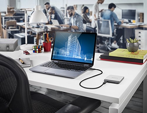 Seagate 500 GB Fast SSD Portable External Solid State Drive for PC and Mac (STCM500401)
