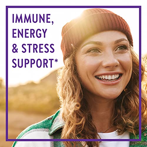 New Chapter Tiny Tabs Multivitamin with Energy Stress and Immune Support + Vitamin D3 + B Vitamins, 192 Count