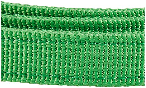 Puppia Two Tone Dog Lead Strong Durable Comfortable Grip Walking Training Leash for Small and Medium Dog, Green, Medium