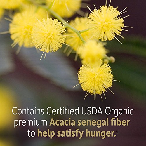 Garden of Life Dr Formulated Organic Fiber Supplement Powder Unflavored, Sugar Free, Psyllium Free Prebiotic Superfoods, Constipation Relief and Hunger Control for Men and Women, 32 Servings