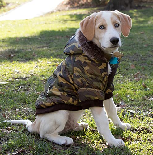 PET LIFE Classic Metallic Fashion Pet Dog Coat Jacket Parka w/ 3M Insulation and Removable Hood, Small, Camouflage