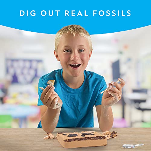 NATIONAL GEOGRAPHIC Mega Fossil Dig Kit - Excavate 15 Prehistoric Fossils Including Dinosaur Bones and Shark Teeth, Educational Toys, Great Science Kit Gift for Girls and Boys (Amazon Exclusive)