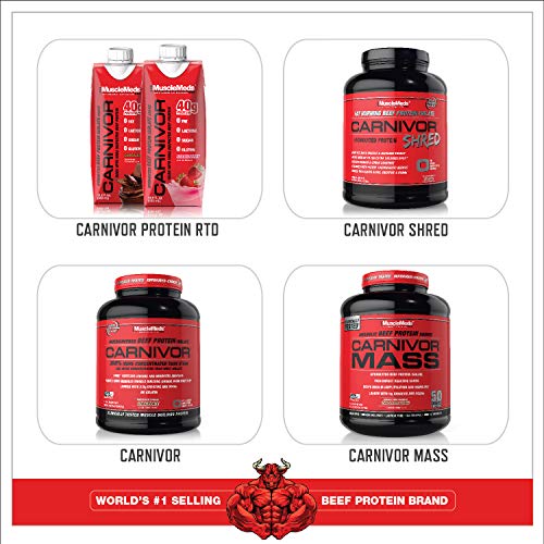 MuscleMeds Amino DECANATE, Intra, Post Workout Drink, Full Spectrum Amino Acid Complex, Leucine, Muscle Recovery, Fruit Punch, 30 Servings