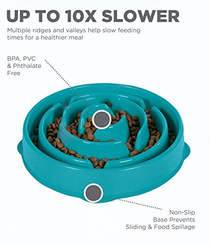 Outward Hound Fun Feeder Slo Bowl, Slow Feeder Dog Bowl, Large/Regular, Turquoise