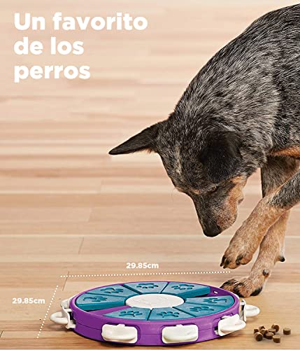 Outward Hound Nina Ottosson Dog Twister Interactive Treat Puzzle Dog Toy, Advanced