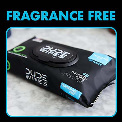 DUDE Wipes Flushable Wipes - 6 Pack, 288 Wipes - Unscented Wet Wipes with Vitamin-E and Aloe for at-Home Use - Septic and Sewer Safe