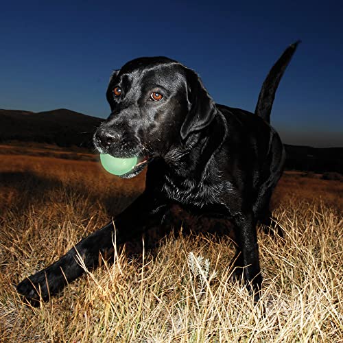 Chuckit Max Glow Ball Dog Toy, Medium (2.5 Inch Diameter) for dogs 20-60 lbs, Pack of 1
