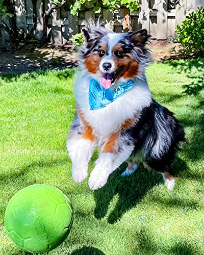 Jolly Pets Large Soccer Ball Floating-Bouncing Dog Toy, 8 inch Diameter, Apple Green