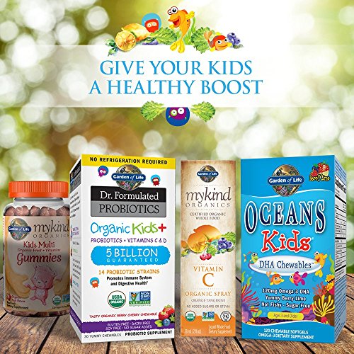Garden of Life mykind Organics Kids Gummy Vitamins - Fruit - Certified Organic, Non-GMO and Vegan Complete Children's Multi - B12, C and D3 - Gluten, Soy and Dairy Free, 120 Real Fruit Chew Gummies