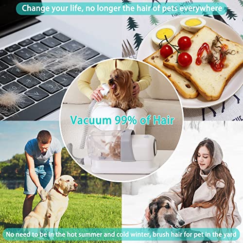 LMVVC Dog Grooming Kit with 2.3L Vacuum Suction 99% Pet Hair, Pet Grooming Vacuum Low Noise, Dog Clippers for Grooming with 5 Tools and 4 Different Lengths Clipper Guards for Dog Cat (White)