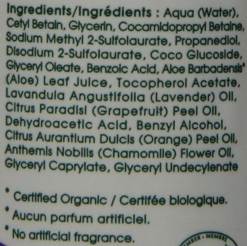 Aleva Naturals Hypoallergenic Sleep Easy Baby Hair and Body Wash for Kids and Toddlers, Plant-Based Organic Aloe Vera Formula with Lavender Scent, Gentle on Eyes and Sensitive Skin - 8 Fl Oz