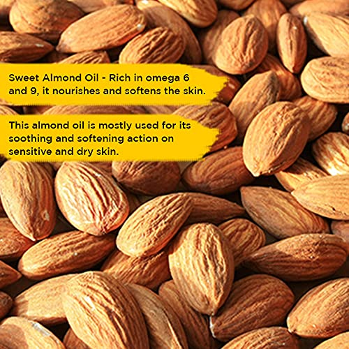 L'Occitane Almond Delicious Hand and Nail Cream, 1 Ounce (Pack of 1)