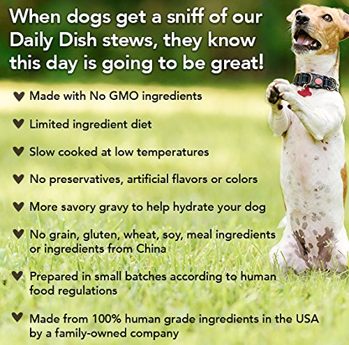 Caru Daily Dish Beef Stew, Natural Adult Wet Dog Food with Real Chunks of Beef, with Added Vitamins and Minerals, Non-GMO Ingredients (12.5 oz) - 12 Pack
