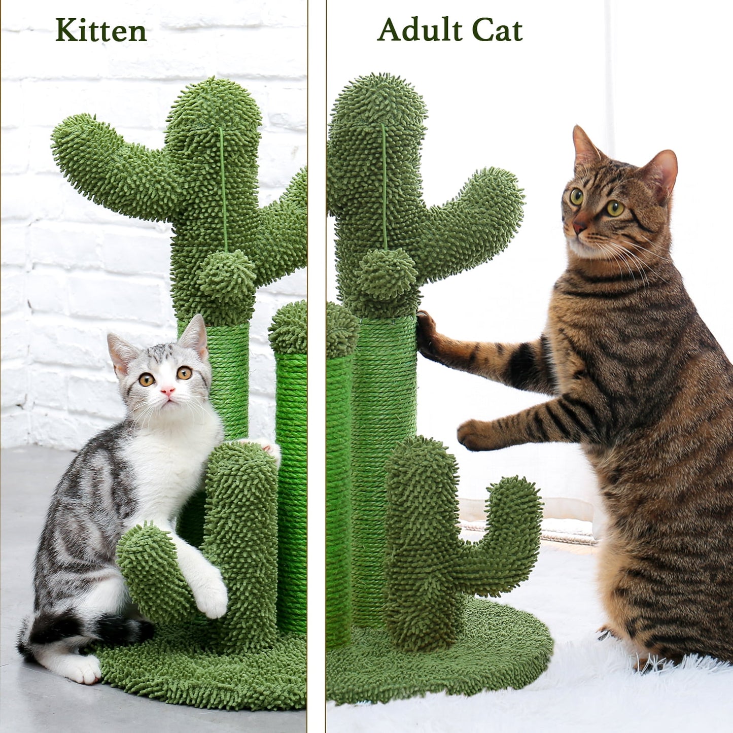 PAWZ Road 23-inches Cactus Cat Scratching Posts Medium Sisal Cat Scratcher, Green
