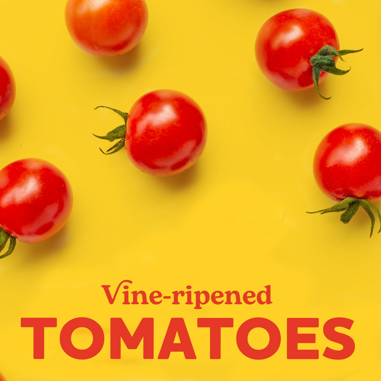 Ragu Chunky Garden Combination Pasta Sauce with Diced Tomatoes, Onions, Celery, Carrots, Zucchini, Green Bell Peppers, and Italian Herbs and Spices, 24 OZ