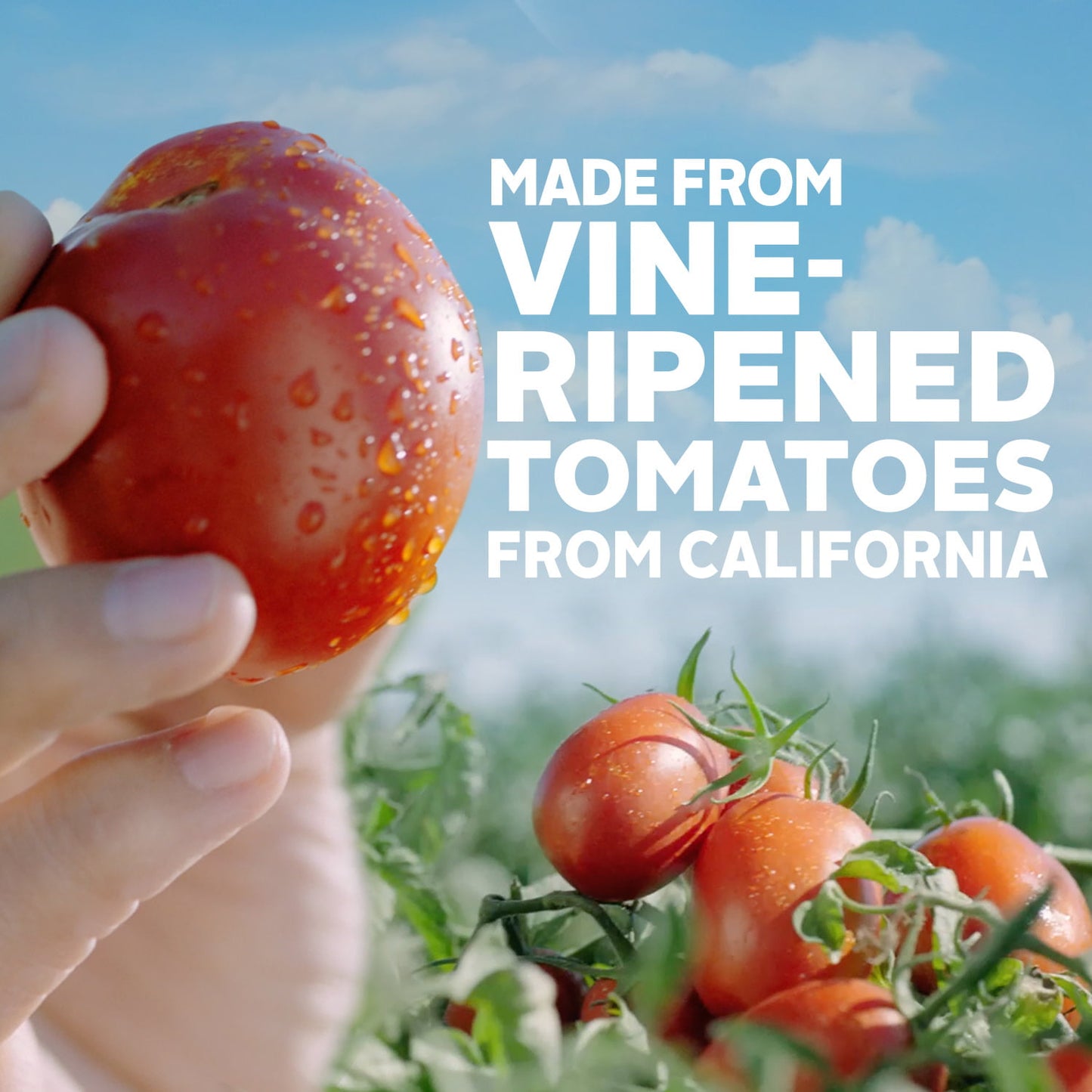 Hunt's Meat Flavored Pasta Sauce, 100% Natural Tomato Sauce, 24 Oz Can