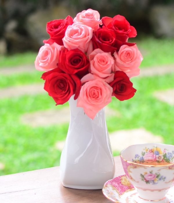 Berry - One Dozen Long Stem Pink and Red Roses
