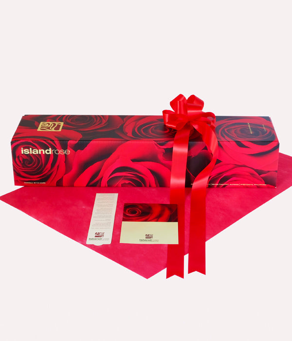 Classic - One Dozen Red and White Roses