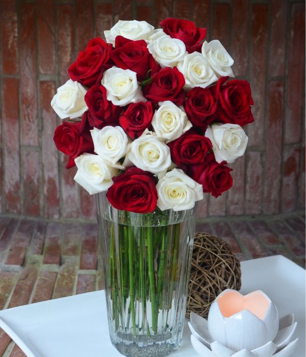Classic Premium - Two Dozen Long Stem Red and White Roses