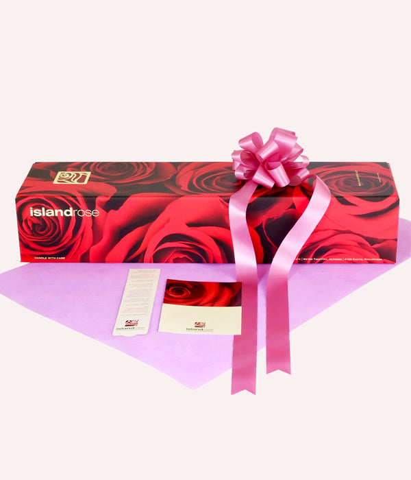 Cool Water - One Dozen Long Stem Lavender Roses