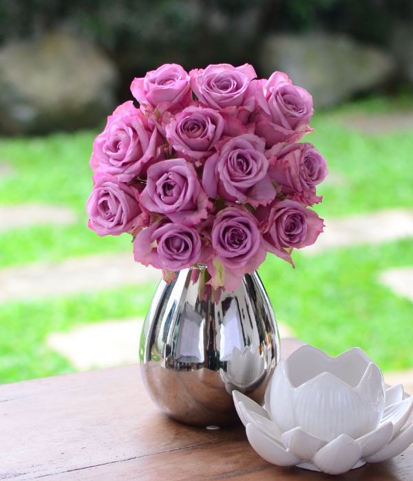 Cool Water - One Dozen Long Stem Lavender Roses