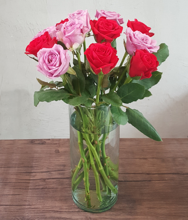 Masquerade - One Dozen Long Stem Lavender and White Roses