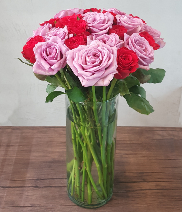 Masquerade Premium - Two Dozen Long Stem Red and Lavender Roses