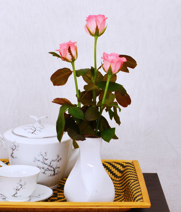Pink Glow - Three Long Stem Salmon Pink Roses