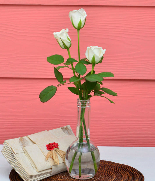 Pure White - Three Long Stem Pure White Roses