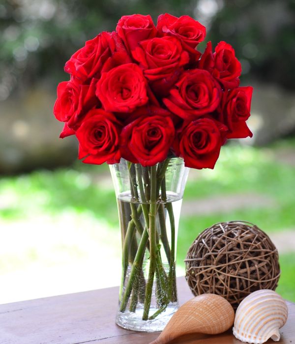 Red France - One Dozen Long Stem Red Roses