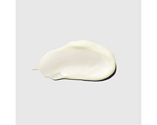 Paul Mitchell Clean Beauty Hydrate Conditioner, Intensely Nourishing Conditioner, Improves Manageability, For Dry Hair, 33.8 fl. oz.