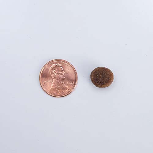 Health Extension Dry Dog Food, Natural Food with Added Vitamins and Minerals, Suitable for All Puppies, Grain Free, Duck Recipe with Whole Vegetable and Berries (4 Pound)