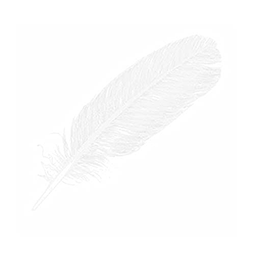 Derek Lam 10 Crosby Silent St. Eau De Parfum Musky and Floral Scent Spray Perfume for Women, 5.9 Fl Oz