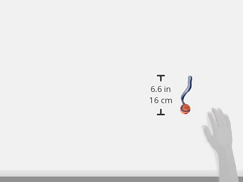 ChuckIt! Small Ultra Tug