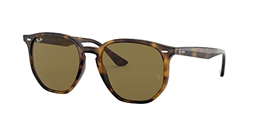 Ray-Ban RB4306 Sunglasses + Vision Group Accessories Bundle (Light Havana/Dark Brown (710/73)