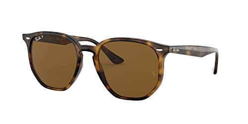 Ray-Ban RB4306 Sunglasses + Vision Group Accessories Bundle (Light Havana/Brown (710/83)