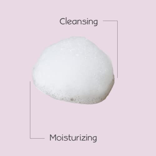 Aleva Naturals Bubble Bath | Long Lasting Moisture for Sensitive Skin | Made with Natural and Organic Ingredients with Fresh Berry Scent | for Newborn Babies and Toddlers - 8 Fl Oz