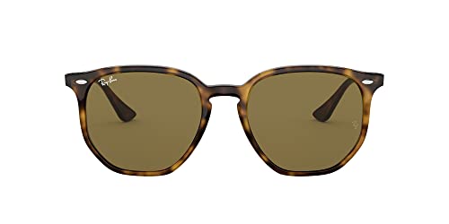 Ray-Ban RB4306 Sunglasses + Vision Group Accessories Bundle (Light Havana/Dark Brown (710/73)