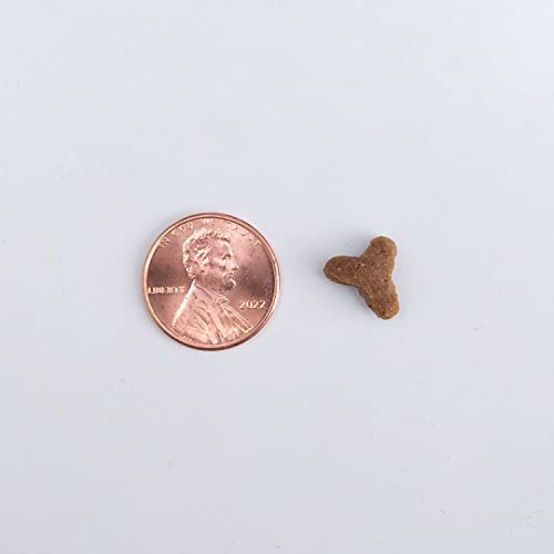 Health Extension Dry Cat Food, Natural Food with Added Vitamins and Minerals, Suitable for All Kittens and Adult Cats, Turkey and Salmon Recipe with Whole Vegetable and Berries (15 Pound / 6.8 kg)