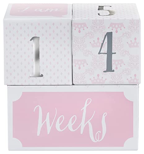 Baby Aspen My First Milestone Princess Age Blocks | Baby Picture Props for Photo Sharing The First Year