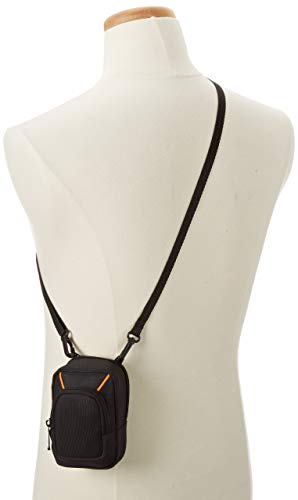 Amazon Basics Large Point and Shoot Camera Case - 6 x 4 x 2 Inches, Black