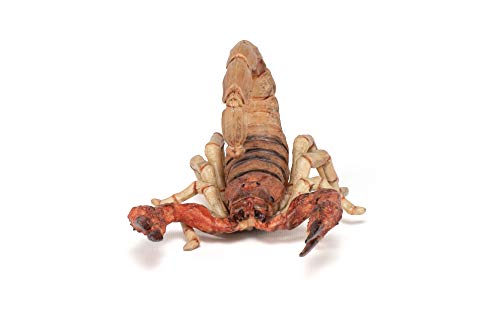 Papo -Hand-Painted - Figurine -Wild Animal Kingdom - Scorpion -50209 -Collectible - for Children - Suitable for Boys and Girls- from 3 Years Old
