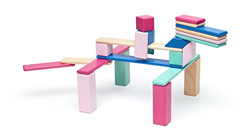24 Piece Tegu Magnetic Wooden Block Set, Blossom, 1-99 years old