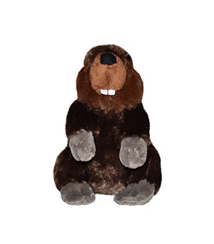 Wild Republic Beaver Plush, Stuffed Animal, Plush Toy, Gifts for Kids, Cuddlekins 8 Inches,Multi