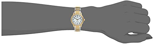 Timex Women's T2H491 Easy Reader 25mm Two-Tone Stainless Steel Expansion Band Watch
