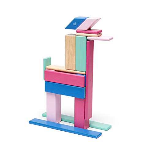 24 Piece Tegu Magnetic Wooden Block Set, Blossom, 1-99 years old